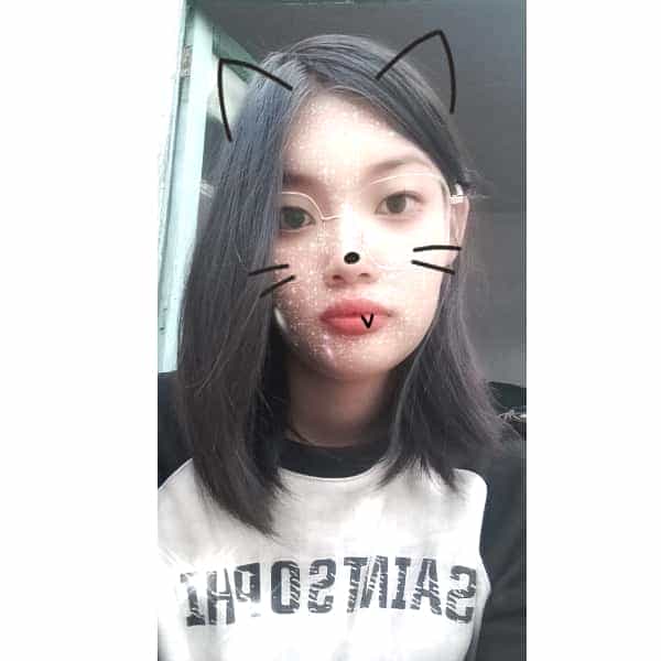 南阳征婚相亲网