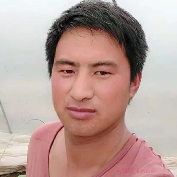 南阳征婚网