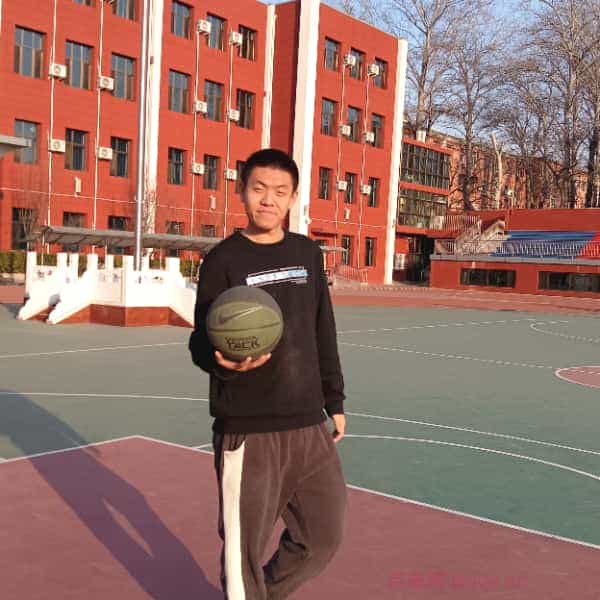 南阳征婚相亲网